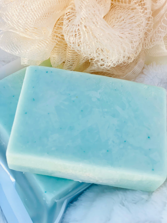 Watermelon Bliss Handmade Soap